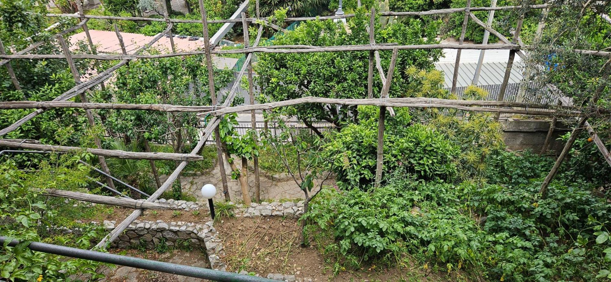Hotel Cristina Sant'Agnello Exterior foto